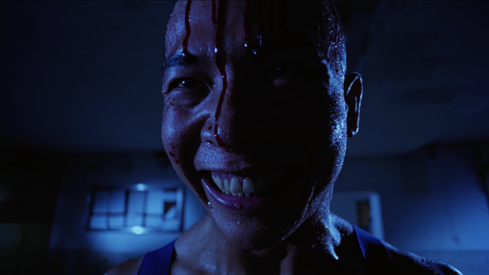 LOOKING AT DEATH 洋書 グロ注意 NOTHING NEW製作第一弾ホラーショートフィルム作品集「NN4444